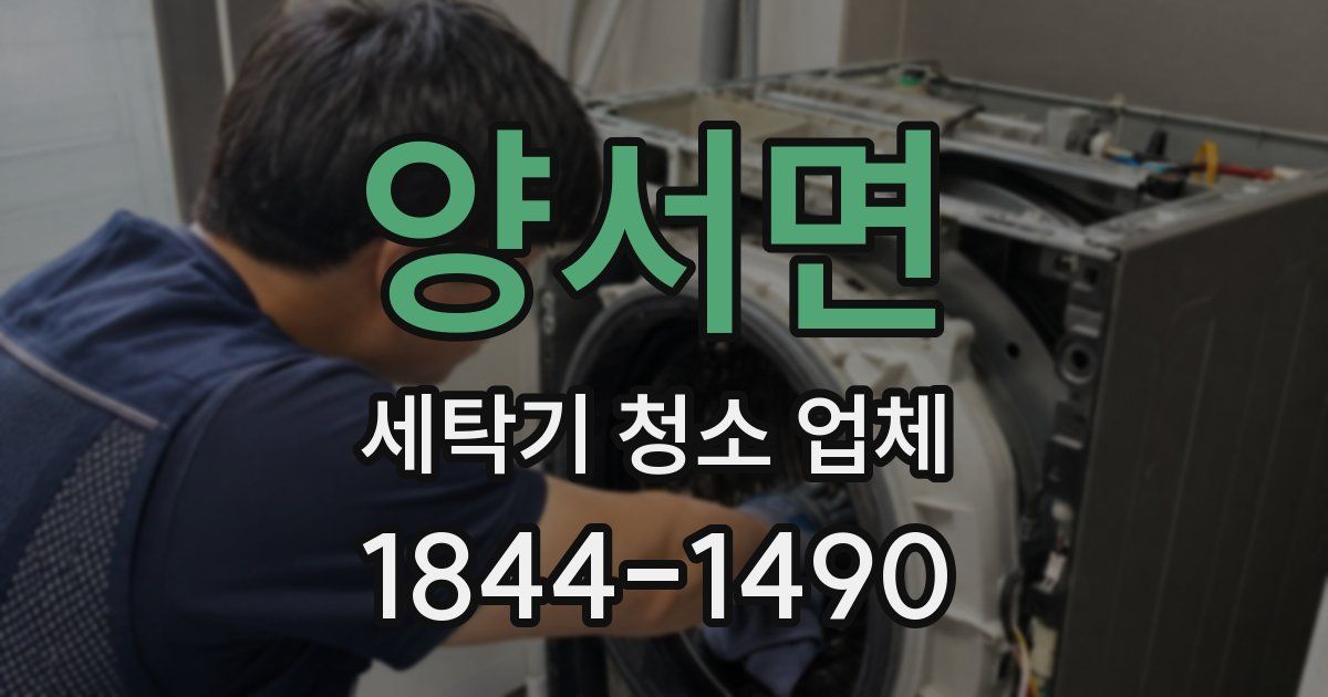 양서면 세탁기 청소 업체