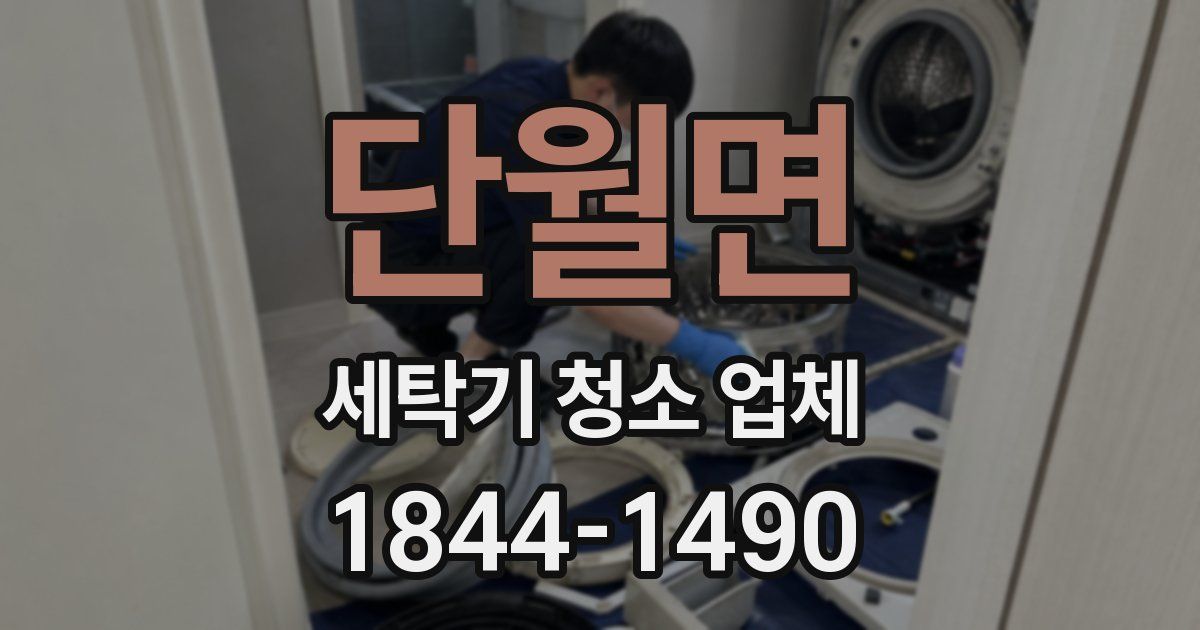 단월면 세탁기 청소 업체