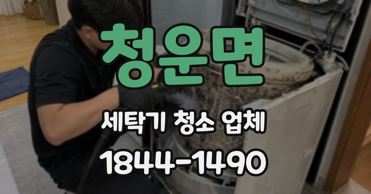 청운면 세탁기 청소 업체