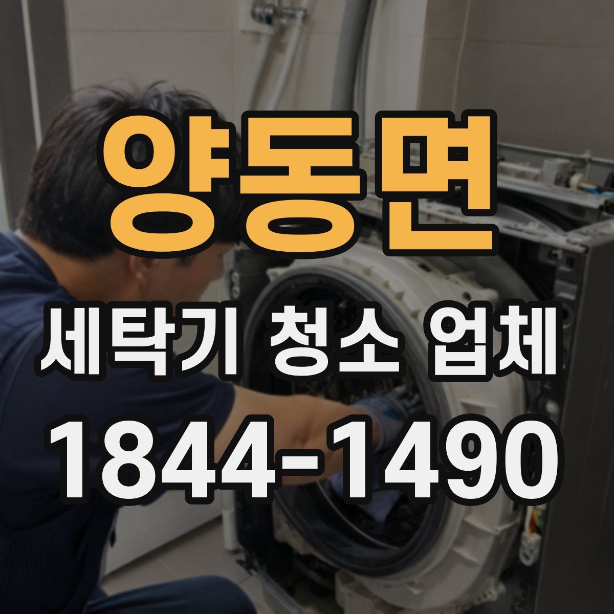 양동면 세탁기 청소 업체