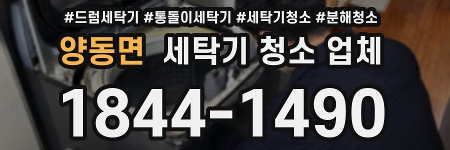 양동면 세탁기 청소 업체