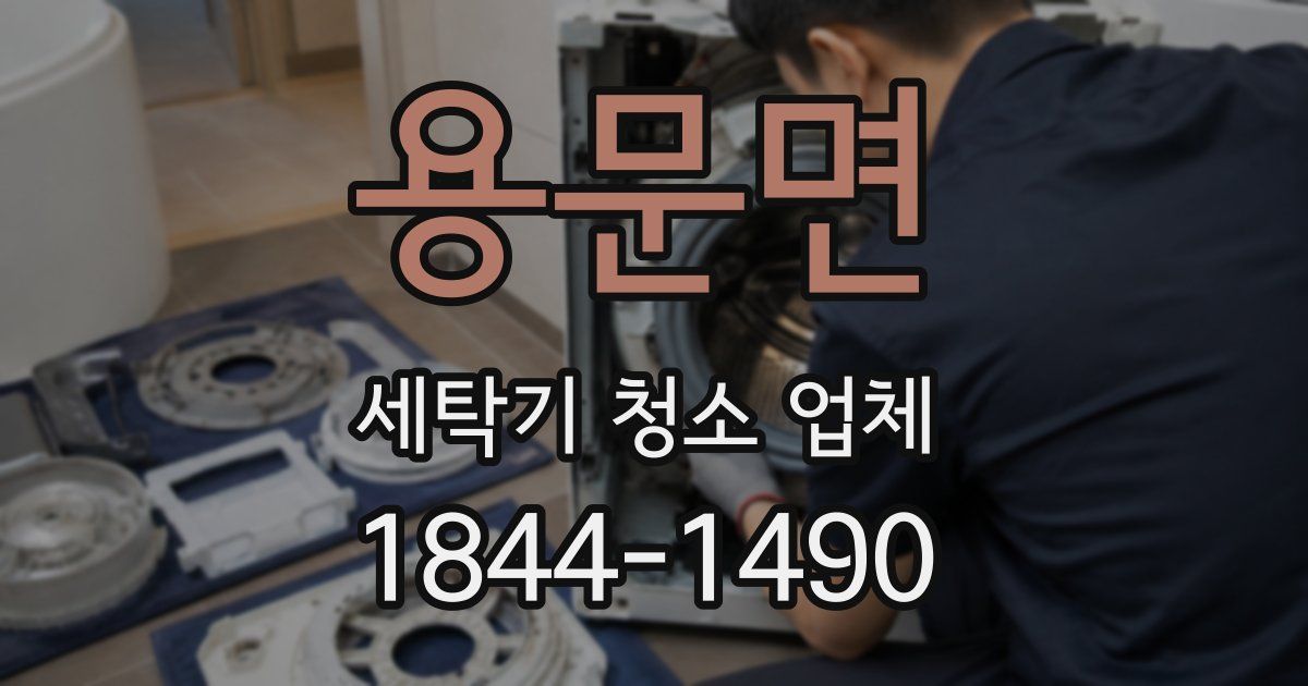 용문면 세탁기 청소 업체