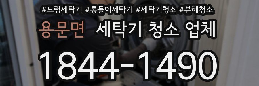 용문면 세탁기 청소 업체
