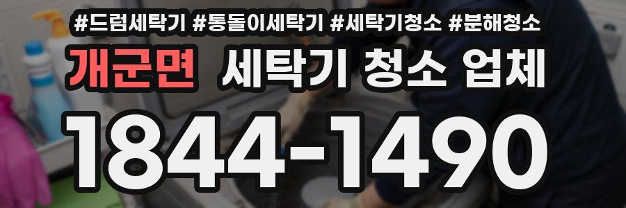 개군면 세탁기 청소 업체