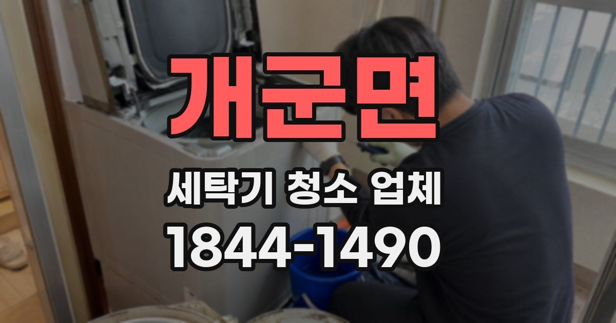 개군면 세탁기 청소 업체