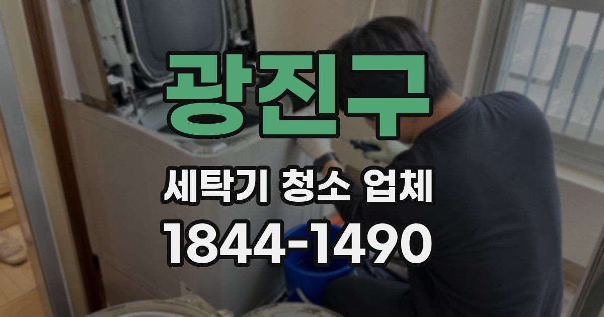 광진구 세탁기 청소 업체