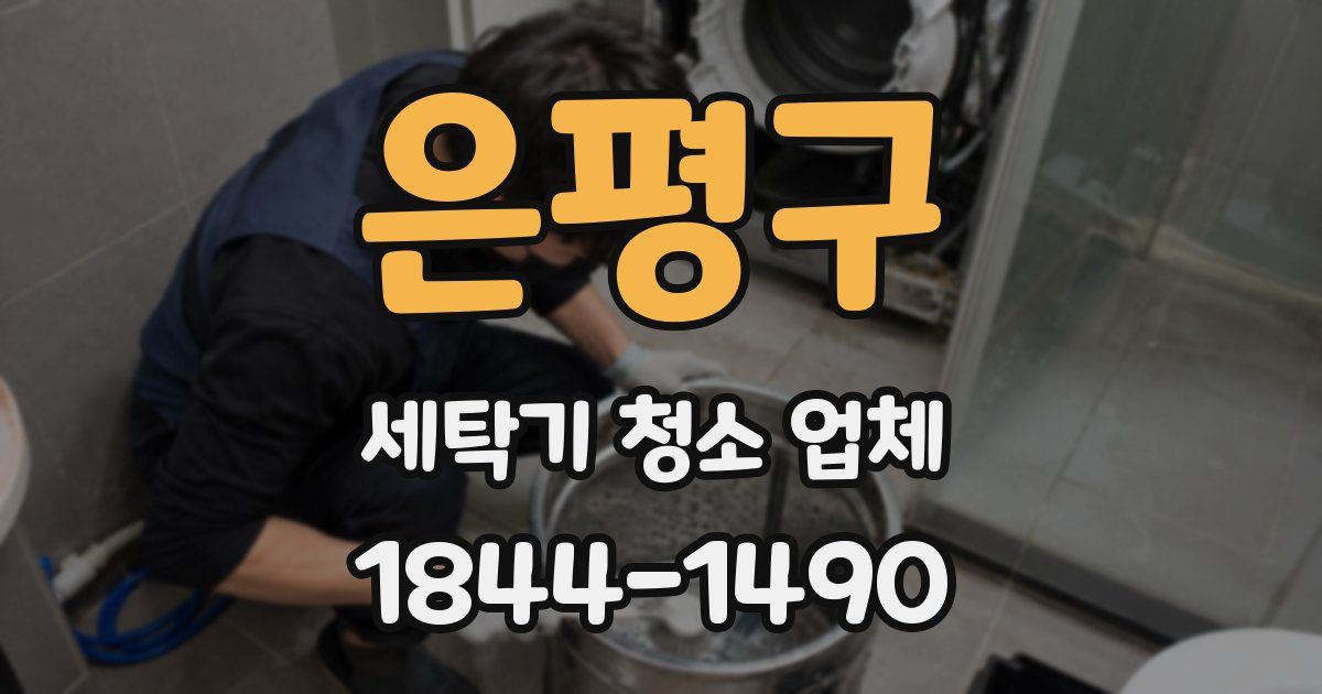 은평구 세탁기 청소 업체