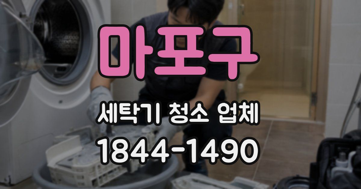 마포구 세탁기 청소 업체