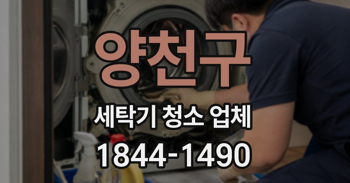 양천구 세탁기 청소 업체