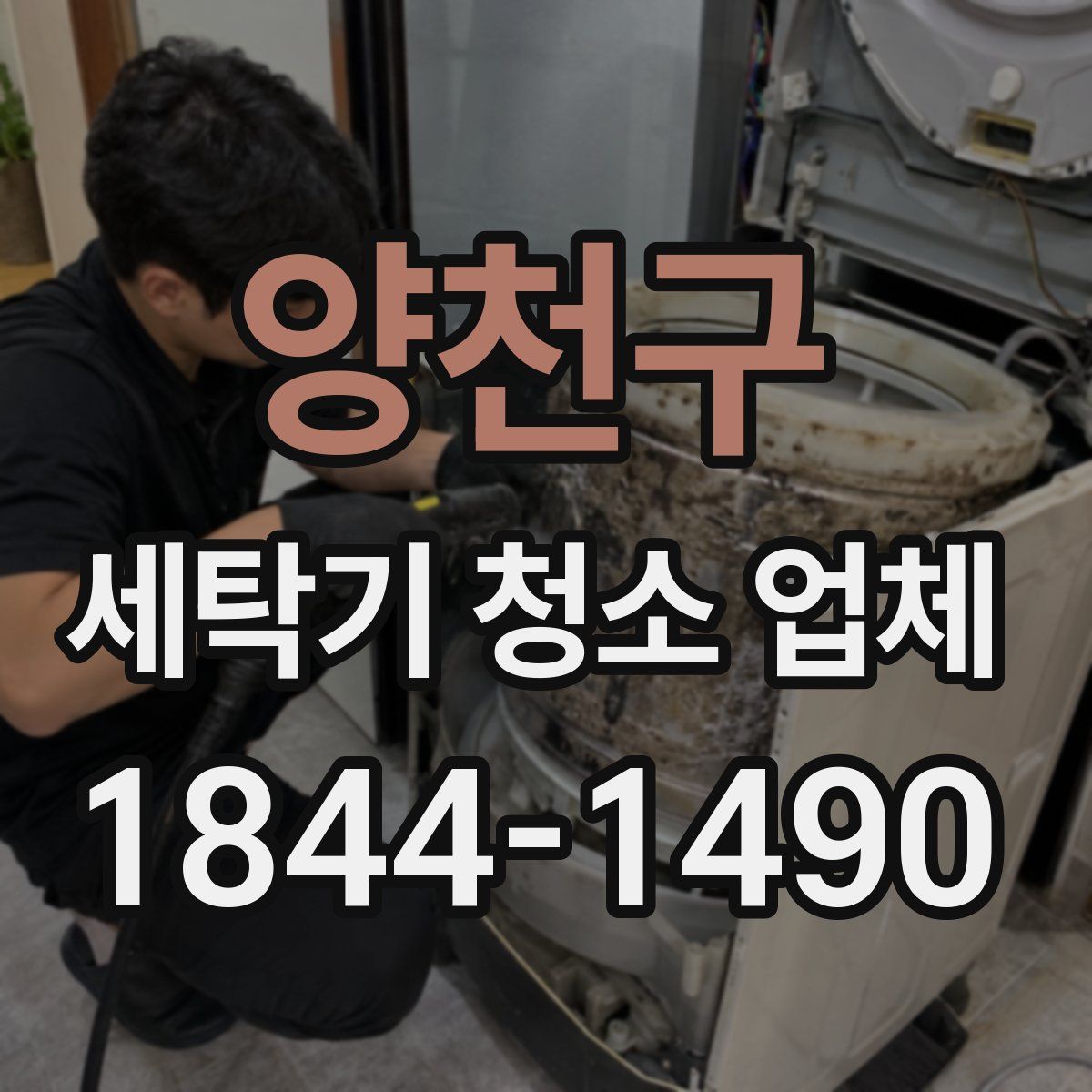 양천구 세탁기 청소 업체