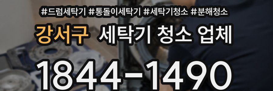강서구 세탁기 청소 업체
