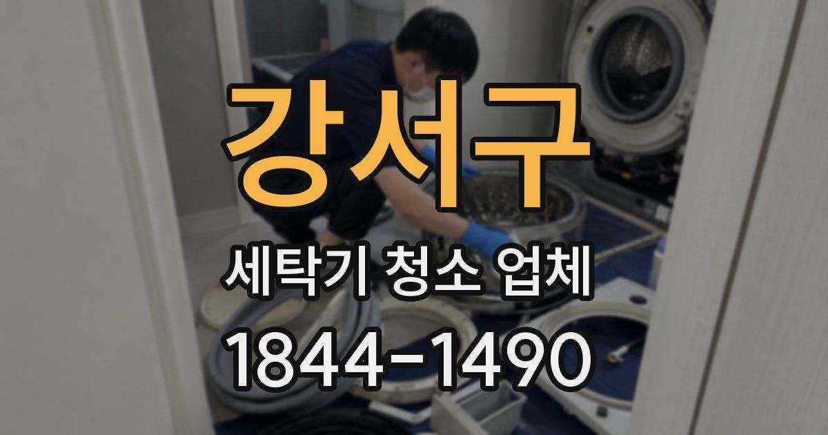 강서구 세탁기 청소 업체