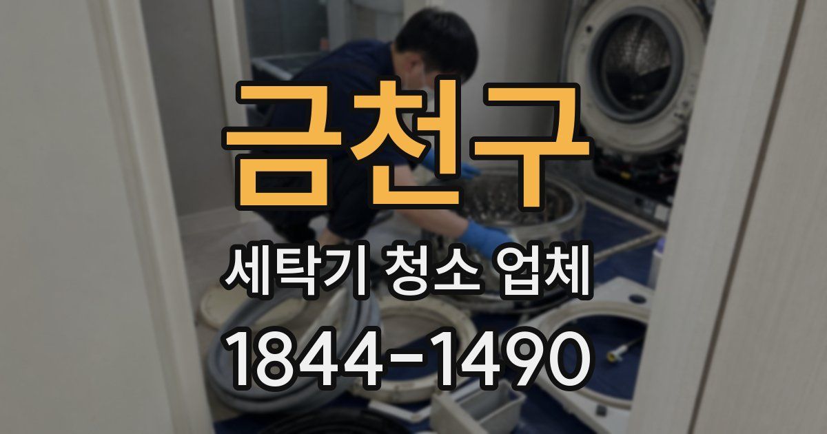 금천구 세탁기 청소 업체