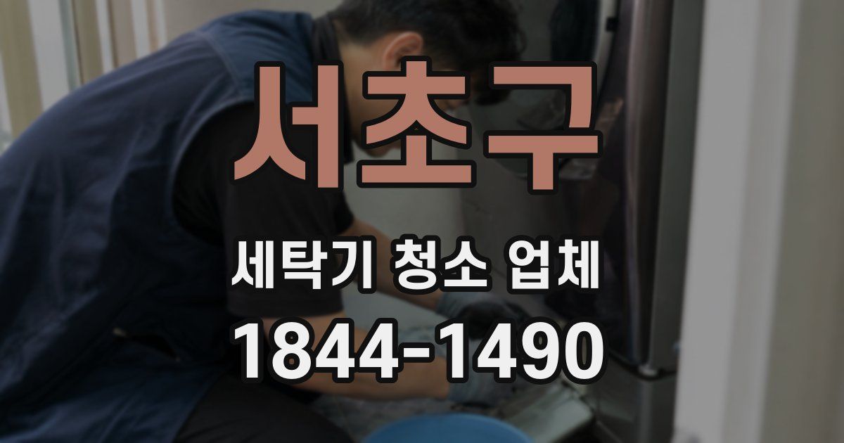 서초구 세탁기 청소 업체