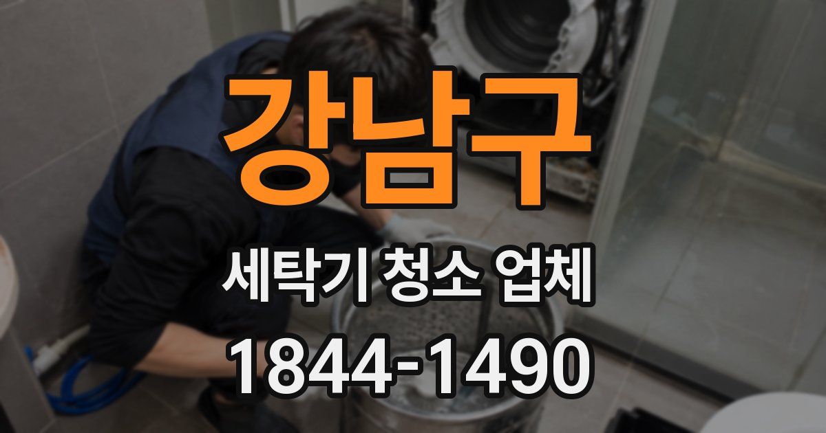 강남구 세탁기 청소 업체