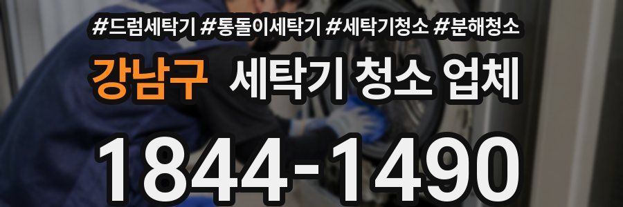 강남구 세탁기 청소 업체