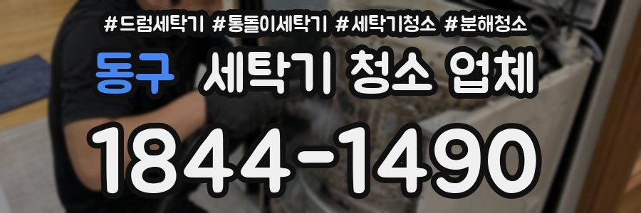 동구 세탁기 청소 업체