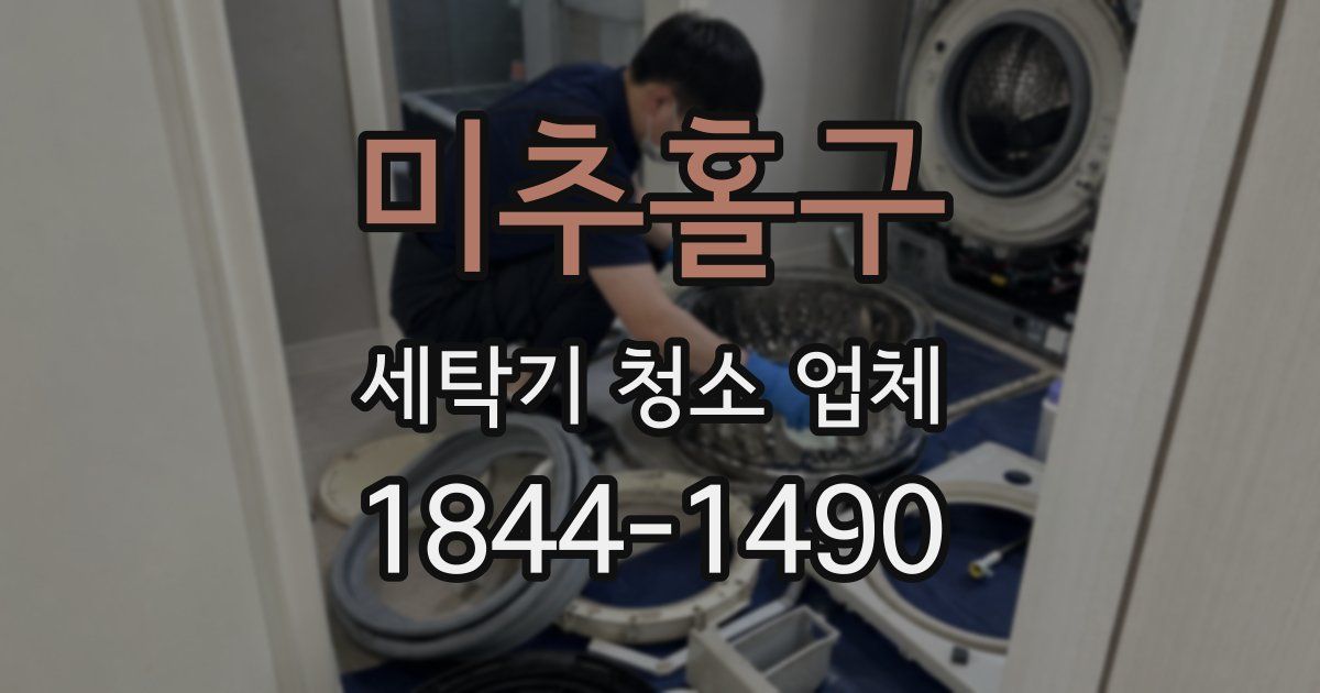 미추홀구 세탁기 청소 업체
