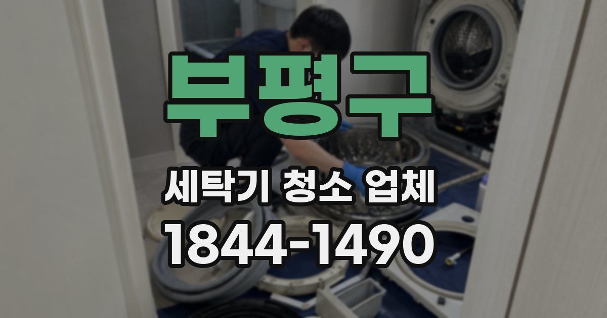 부평구 세탁기 청소 업체