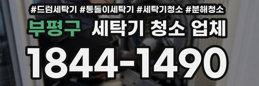 부평구 세탁기 청소 업체