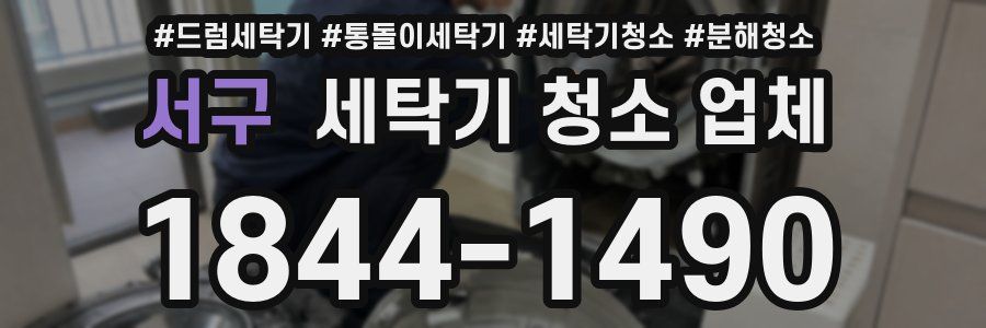 서구 세탁기 청소 업체
