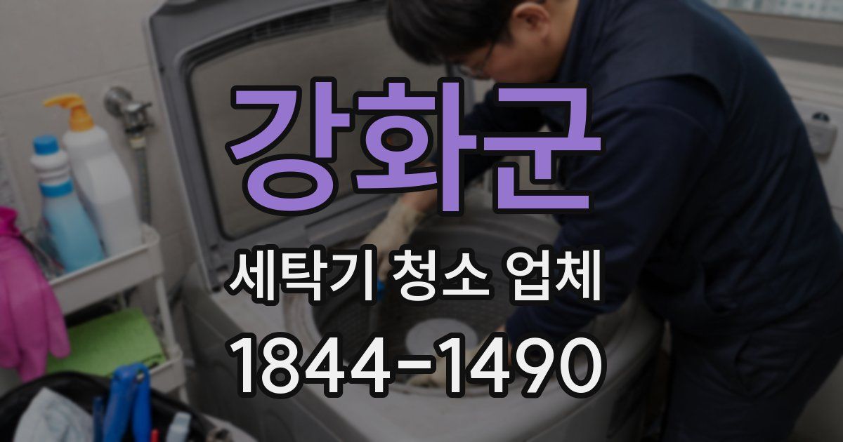 강화군 세탁기 청소 업체