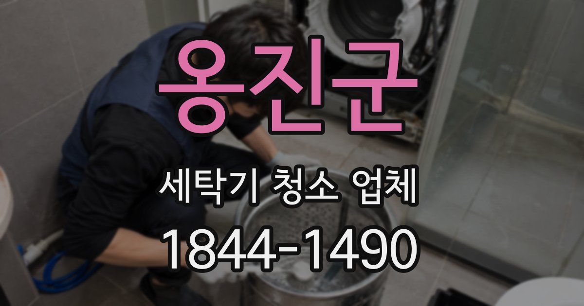 옹진군 세탁기 청소 업체