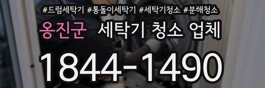 옹진군 세탁기 청소 업체
