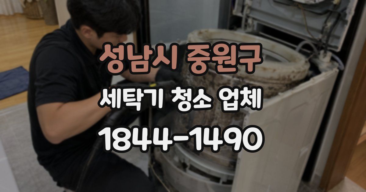 성남시 중원구 세탁기 청소 업체
