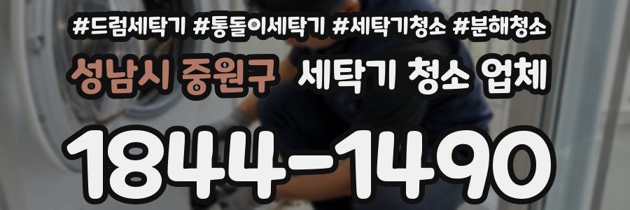 성남시 중원구 세탁기 청소 업체