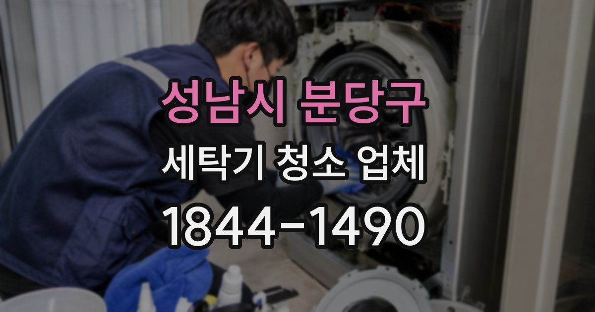 성남시 분당구 세탁기 청소 업체