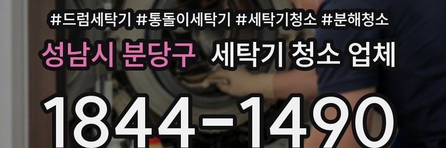 성남시 분당구 세탁기 청소 업체