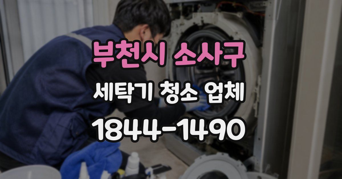 부천시 소사구 세탁기 청소 업체