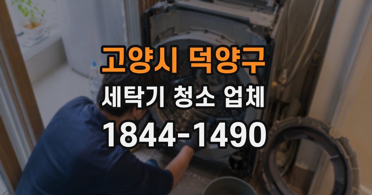 고양시 덕양구 세탁기 청소 업체