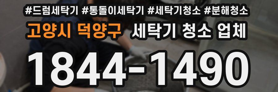 고양시 덕양구 세탁기 청소 업체