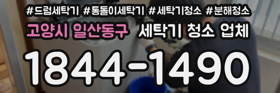 고양시 일산동구 세탁기 청소 업체