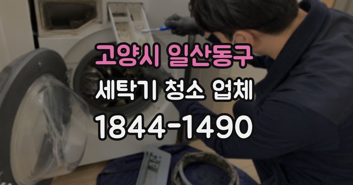 고양시 일산동구 세탁기 청소 업체