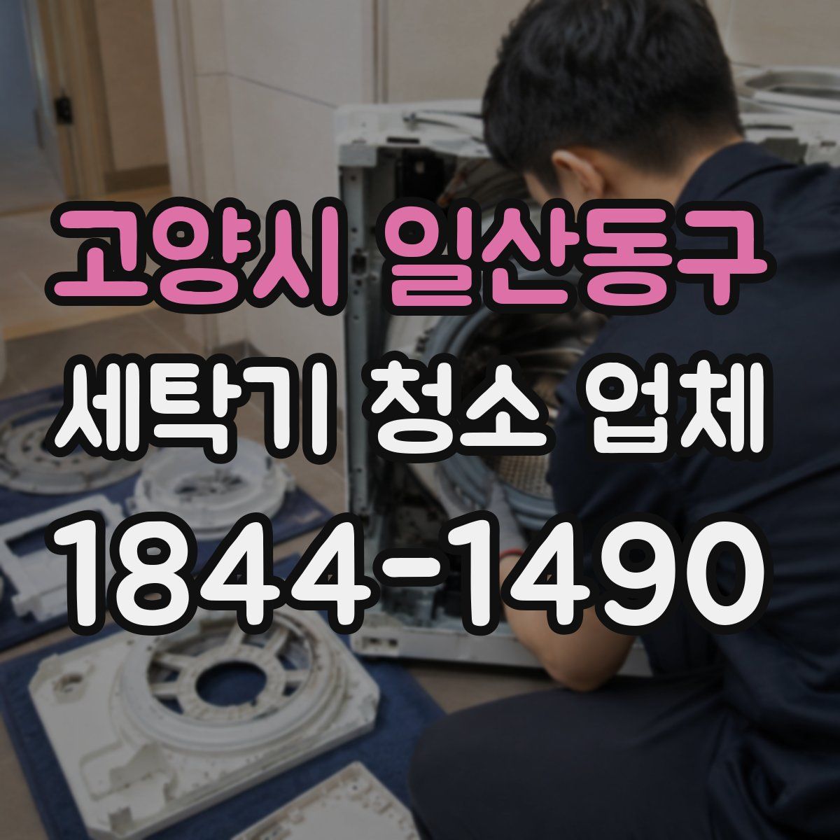 고양시 일산동구 세탁기 청소 업체