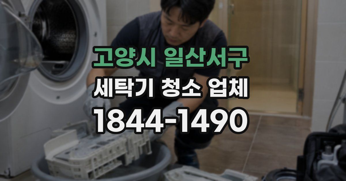 고양시 일산서구 세탁기 청소 업체