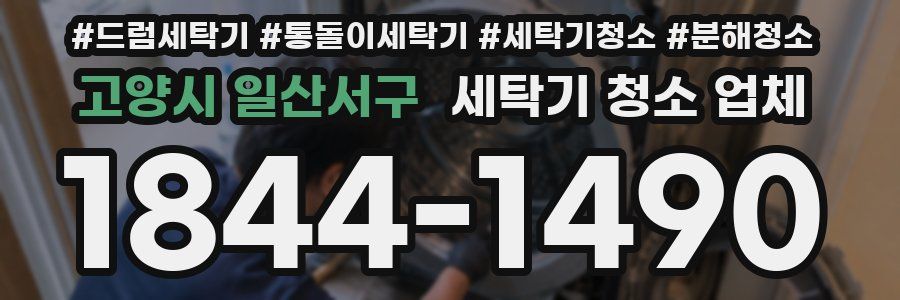 고양시 일산서구 세탁기 청소 업체
