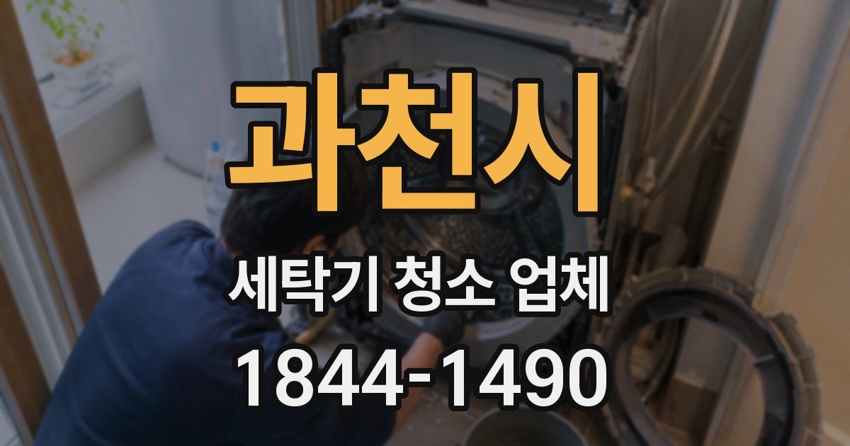 과천시 세탁기 청소 업체
