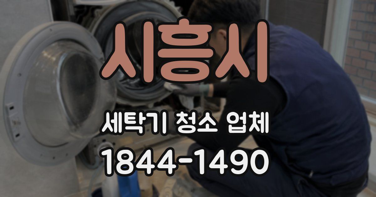 시흥시 세탁기 청소 업체