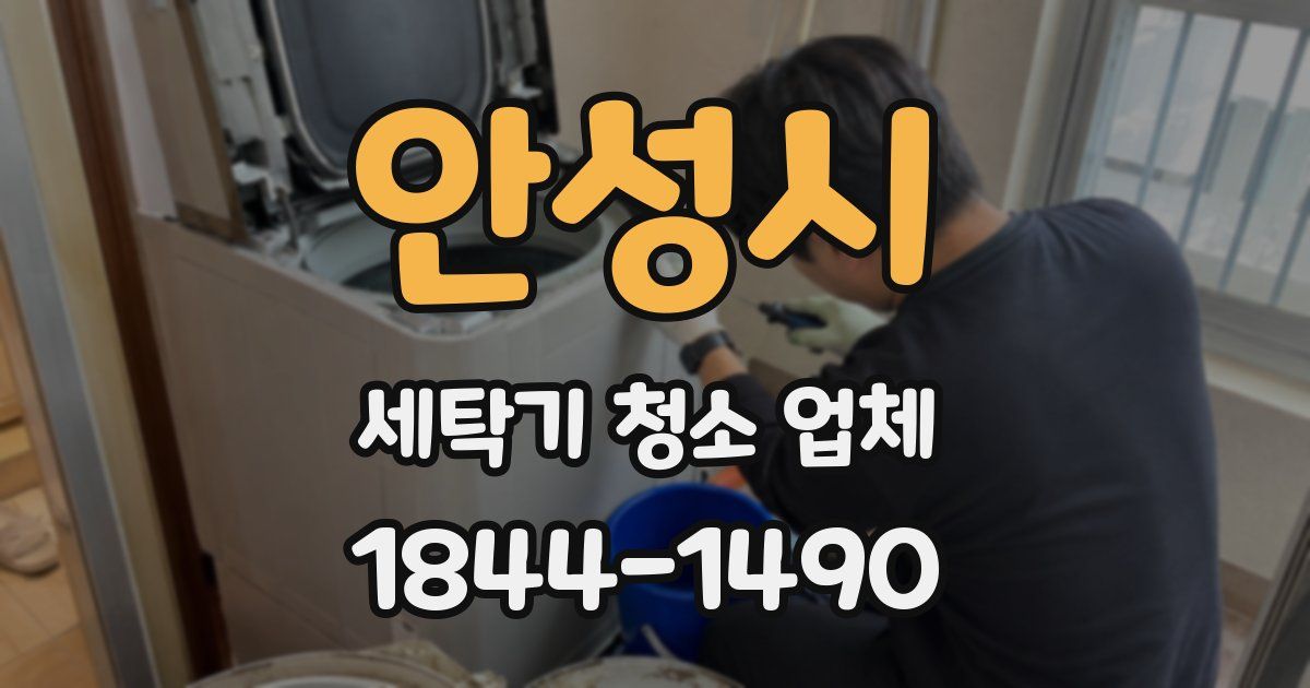 안성시 세탁기 청소 업체