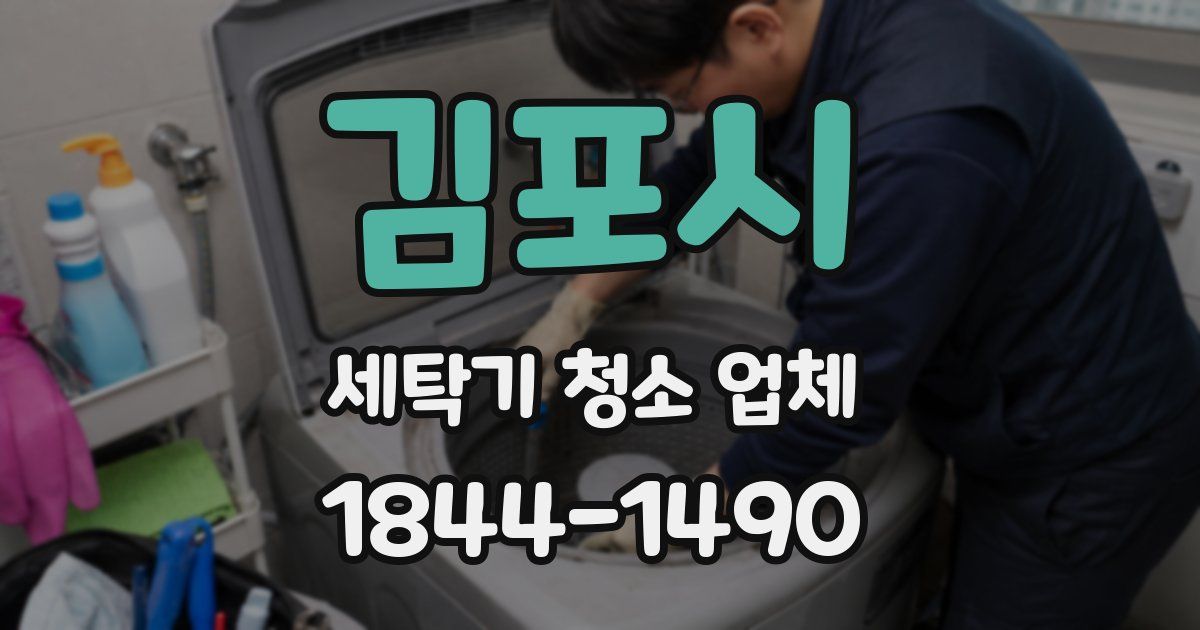 김포시 세탁기 청소 업체