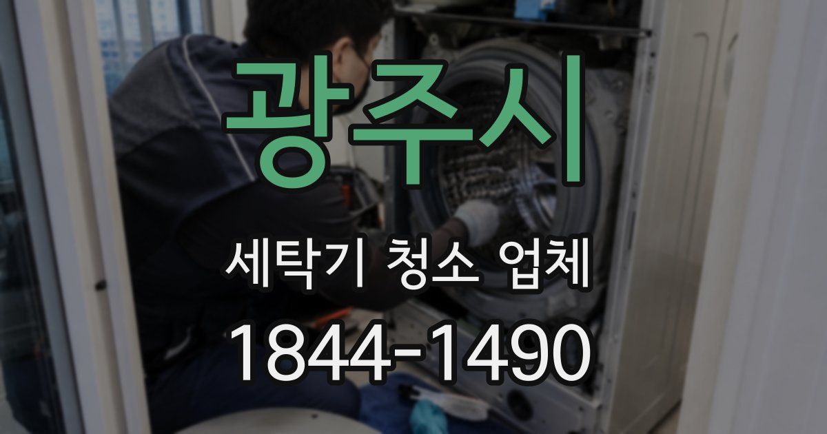 광주시 세탁기 청소 업체