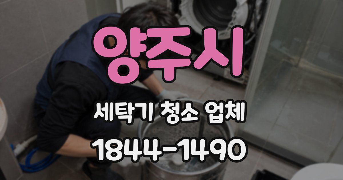 양주시 세탁기 청소 업체