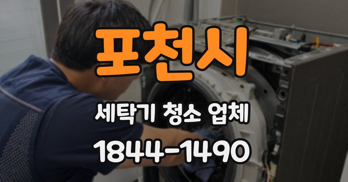 포천시 세탁기 청소 업체