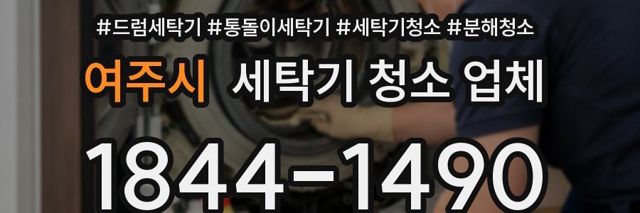 여주시 세탁기 청소 업체