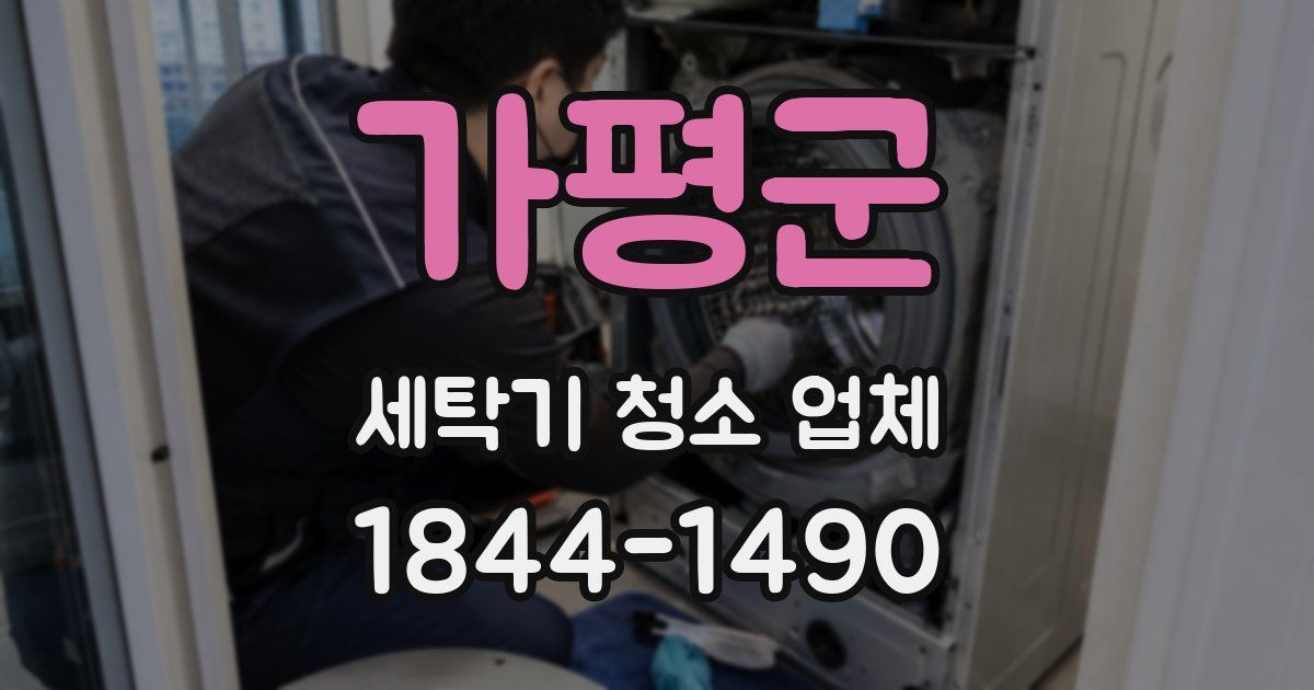가평군 세탁기 청소 업체