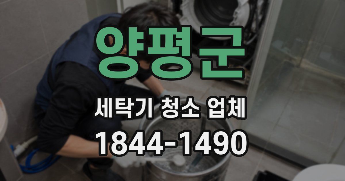 양평군 세탁기 청소 업체